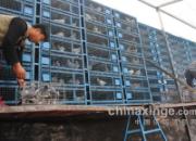 ̫��14�������ȿ�ս(ͼ)