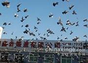 �������������շ�վ����ŷ��ֳ�(ͼ)