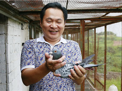 �������ٴ���������������(ͼ)