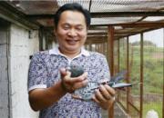 �������ٴ���������������(ͼ)