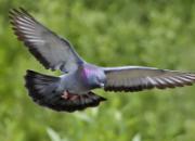 ��·�������ʤ