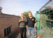 �������������˵��ջ�(ͼ)