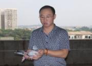 �Ǻø� ���ļҶ����(ͼ)