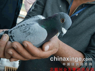 �����ӽ���400����ǰ��ʮ�񽱸���(ͼ)