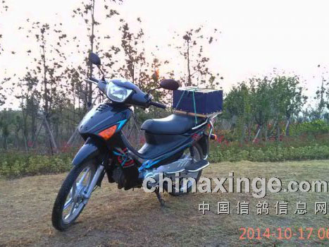 Ħ��ѵ�� �о�����(ͼ)