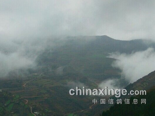 �����ײ�ɽ����̾����(ͼ)