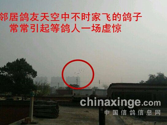 ����ȸ�� �ھӼҷ����龪(ͼ)