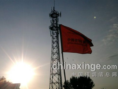 �ź�������ĩ����Ӱ�����(ͼ)