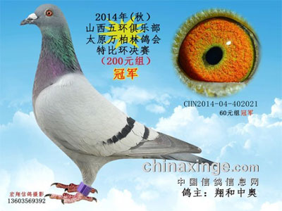 ̫ԭ����ָ���رȻ�������25�վ���