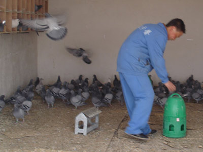 ��������Ӯ������Ǯ