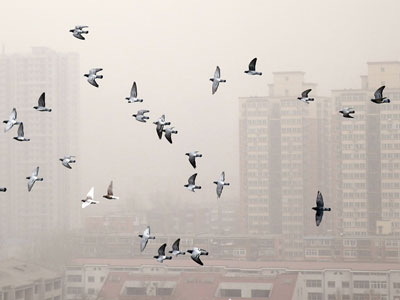 ��������������������˼��