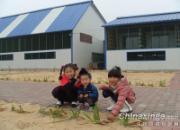 ������������� С��Ҳ����(ͼ)