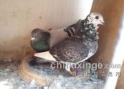 ���ѷɳ����ˣ����ر�13��(ͼ)