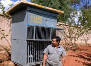 ��ľ�䡰������С����(ͼ)