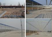 �����ϰ壺��Ϊ�θҿ��¹��(ͼ)