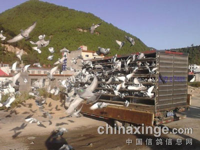 �ؼ����ֲ�δ������������(ͼ)