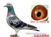 �������ѼҾ����ָ뱻��(ͼ)