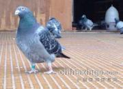 �ιۺӱ���һ��ҵ ������ھ�Ȯ(ͼ)