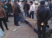 �ӱ����������رȻ���������(ͼ)