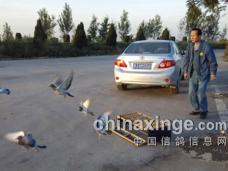 ��ǰ���á��á�ҩ ����������(ͼ)