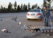 ��ǰ���á��á�ҩ ����������(ͼ)