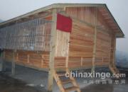 �����·���̣��ɰܽ�������(ͼ)