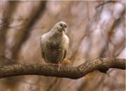 ����������д��͵�����Ļ�