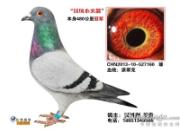 ѵ����Ϊ���� ���������(ͼ)