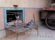 ������곬��73�����ع�