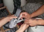 ���ɹ���ɨ�ջ� һ�����۱��롰�桱