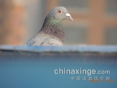 ����񽱡�����ĵá�(ͼ)