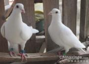 �׸�Ҳ�ܷ� 600����7��ȫ��(ͼ)