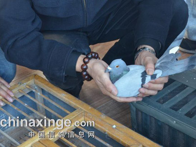 ֣�ݻ�Զ�������ǰ500��������(ͼ)