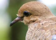 ���������񣺸�����������·