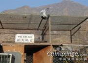 �����գ�����ֶ������(ͼ)