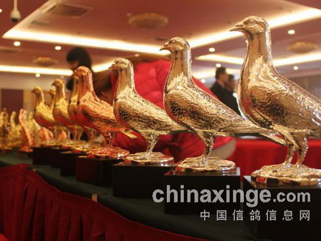 2014��ٸ�԰���ظ���������ͼ¼