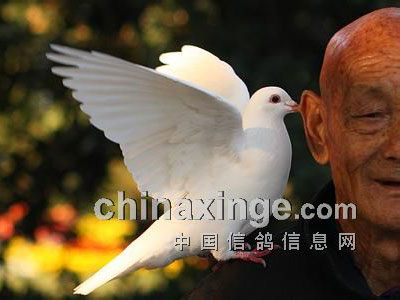 78���Ͼ�������150���ｻ�� ·�Ͽ�����(ͼ)