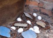 ����������������ʱ�������������