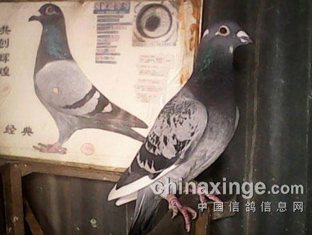 ��ʧ2��ġ�������������(ͼ)