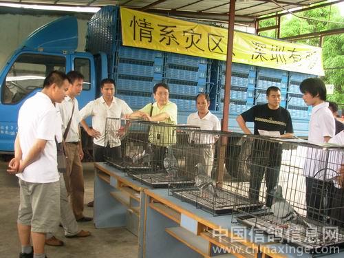 ����ϵ�����������а�������(ͼ)