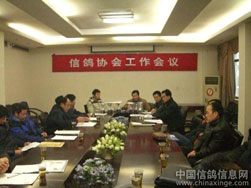 湖南省2008年信鸽工作会议(图)