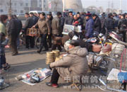 长春市信鸽交易市场(图)