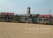 北京百鸽园掠影(图录)