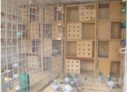 ֵ���ڴ���2010����