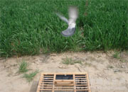 ��������ѵ���ּ�(ͼ)