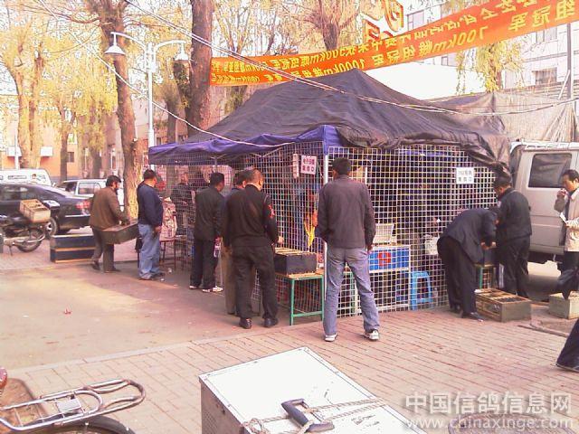 �����д��ظ�ЭΪ��������(ͼ��)