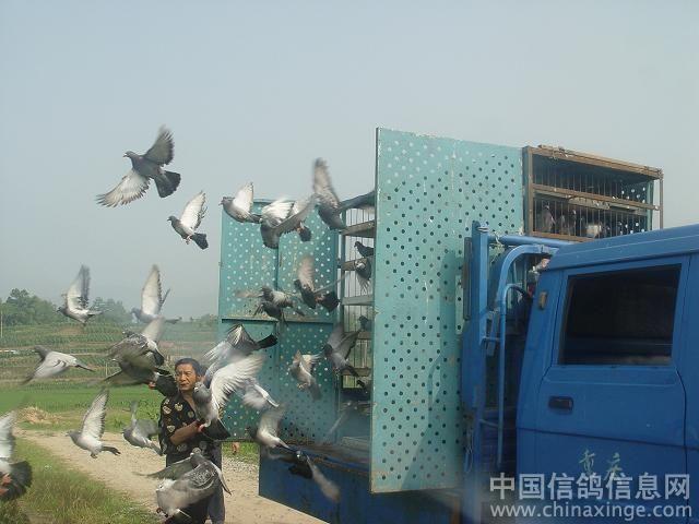 �ŷɺ�ƽʹ�� ף����������