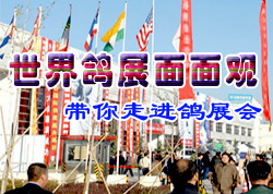 ר�⣺�����չ�����