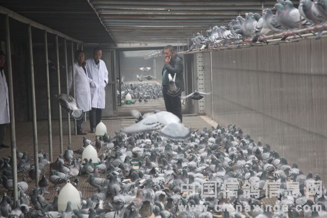 ��������ӡ��֮�Ĵ������뽡��(ͼ)