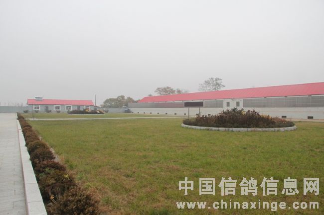 ��������ӡ��֮������������Ӱ(ͼ)